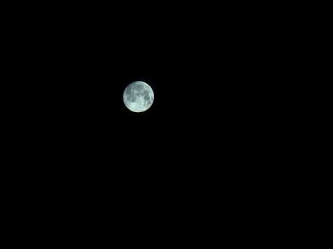 Fullmoon Float Cover
